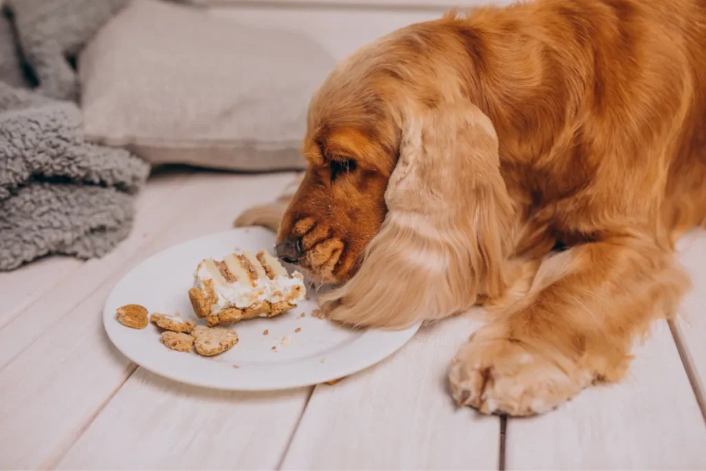 dog curiously eating human foods at home, showcasing the importance of proper diet for pets